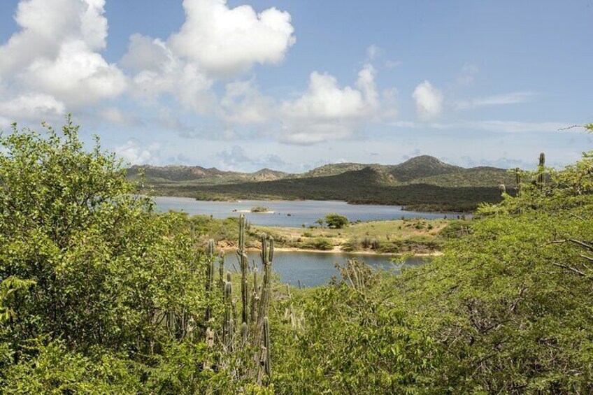 2 Hours Individual Island Tour on Bonaire