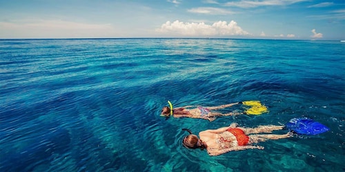 Tropical Reef Snorkel and Wildlife Boat Adventure