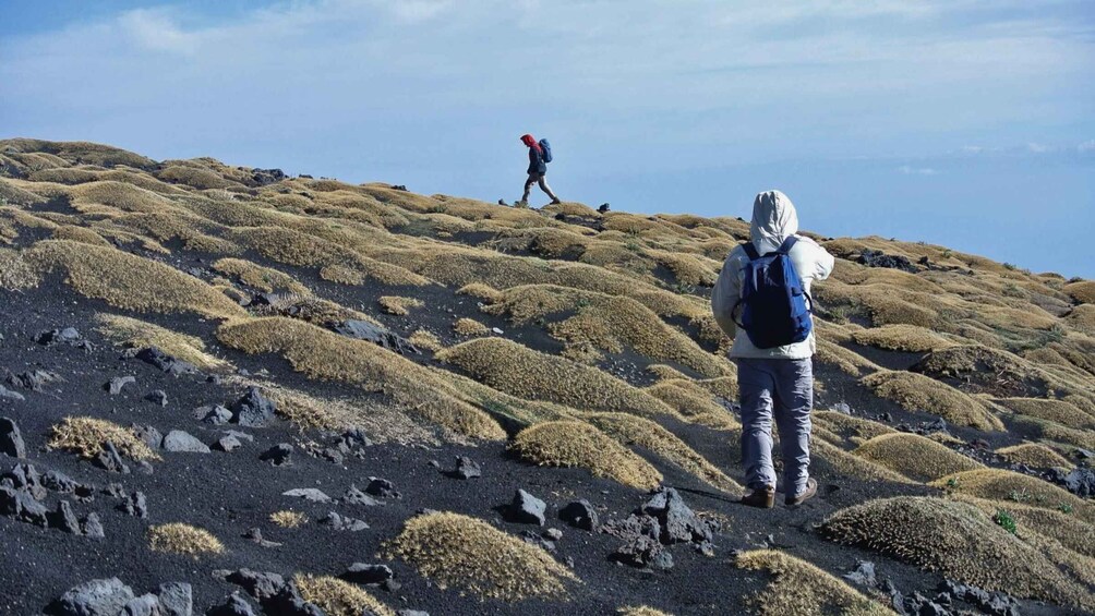 Picture 5 for Activity Trekking on Etna volcano craters