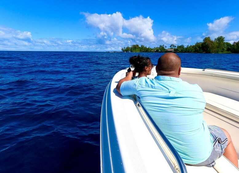 Picture 1 for Activity Hilo: Humpback Whale-Watching Cruise with Snacks and Drinks