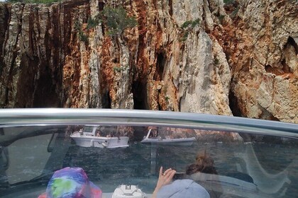 Taxi Boat Dorado Korcula Hop on-Hop off