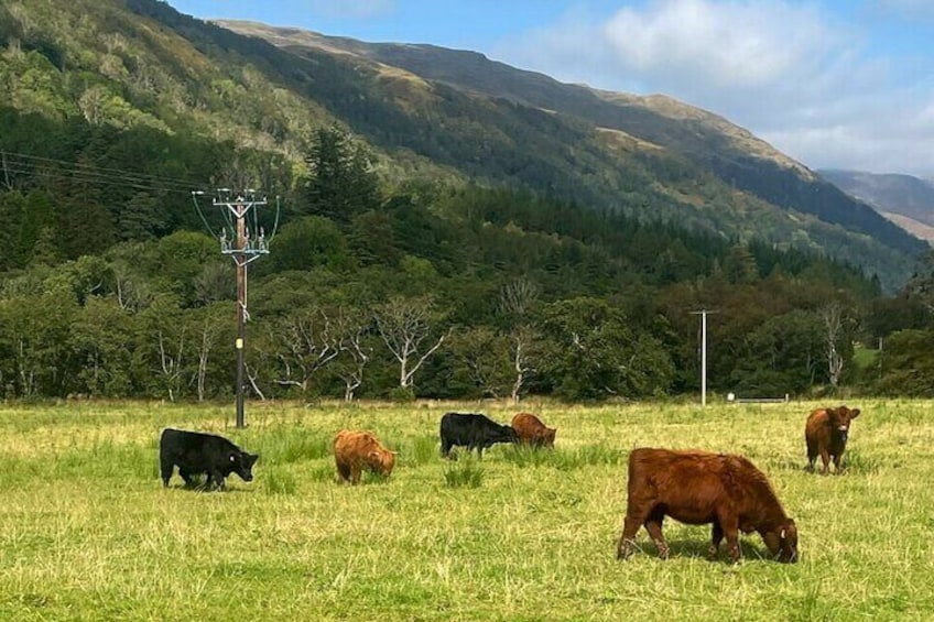 Private 3 Day Tour to Skye Loch Ness and Glencoe from Glasgow