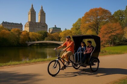 Visite de 1 heure de Central Park