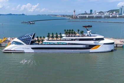 DOLPHIN HALONG CRUISE - Den största dagskryssningen i Ha Long Bay