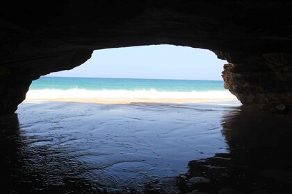 Boa Vista: Shipwreck, 4x4 Ride & Caves Day Tour with Lunch