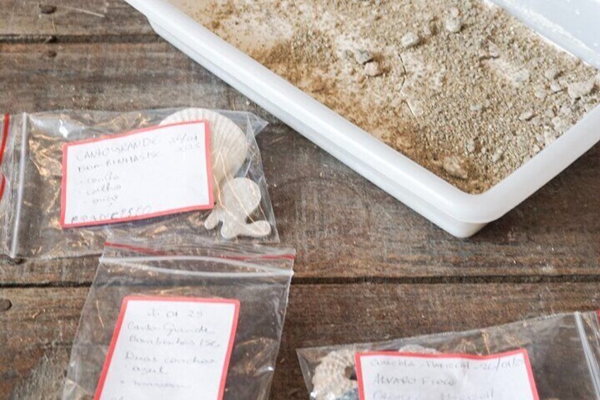 Ceramics and Paleontology in Bombinhas a Transformative Connection