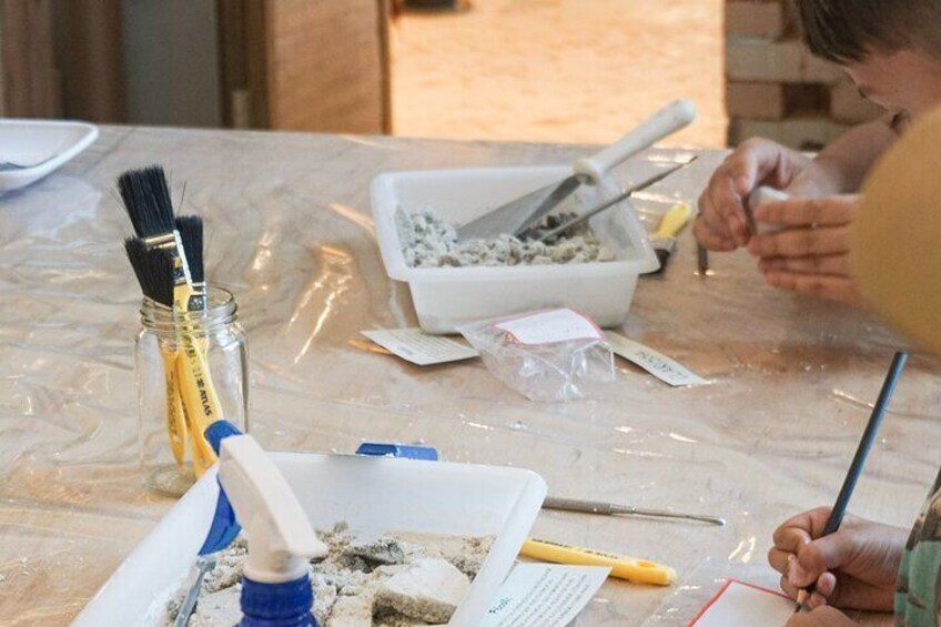 Ceramics and Paleontology in Bombinhas a Transformative Connection