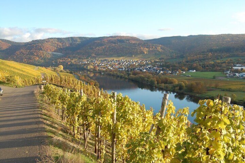 Wine experience hike from Traben Trarbach Private tour