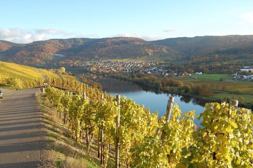 Wine experience hike from Traben Trarbach Private tour