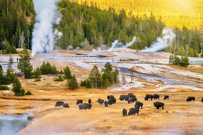 Salt Lake City to Yellowstone and Grand Teton 3 Day Tour
