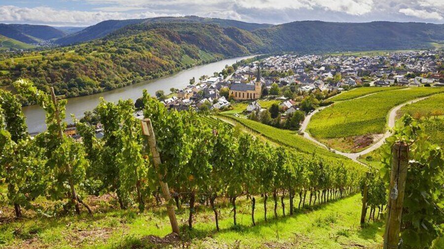 Vineyards, Moselle, wine