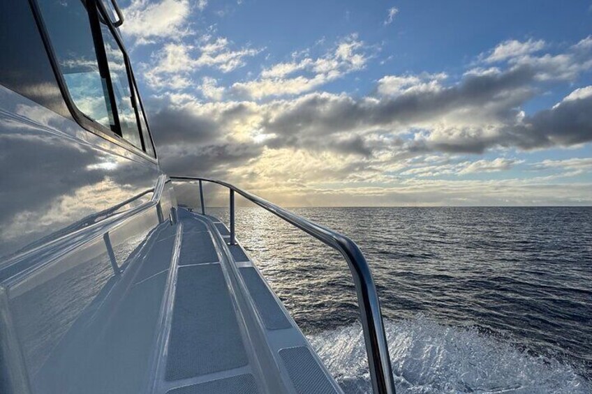 SeaBus Day Tour to Calheta Funchal and Caniçal