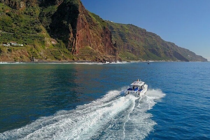 SeaBus Day Tour to Calheta Funchal and Caniçal