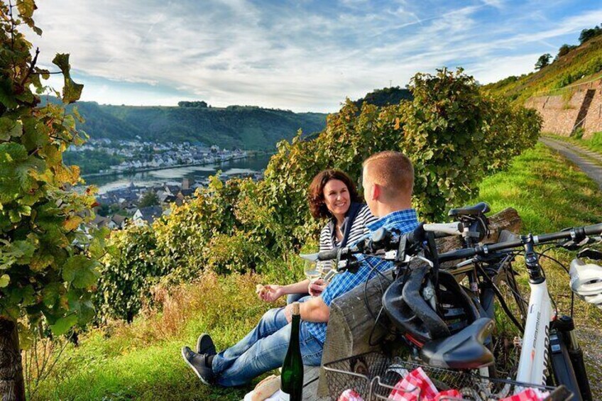 Bicycle Picnic Boat Tour with E Bike from to Traben Trarbach