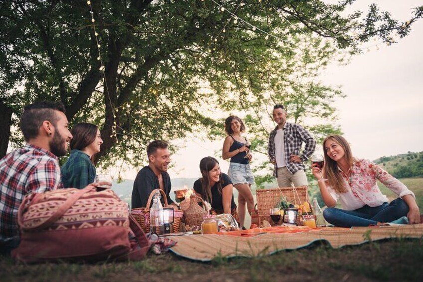 Bicycle Picnic Boat Tour with E Bike from to Traben Trarbach