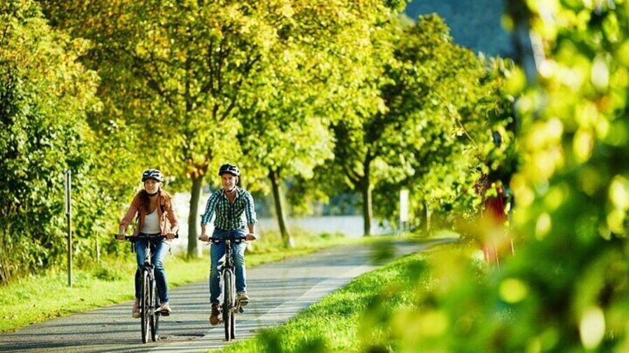 Bicycle Picnic Boat Tour with E Bike from to Traben Trarbach