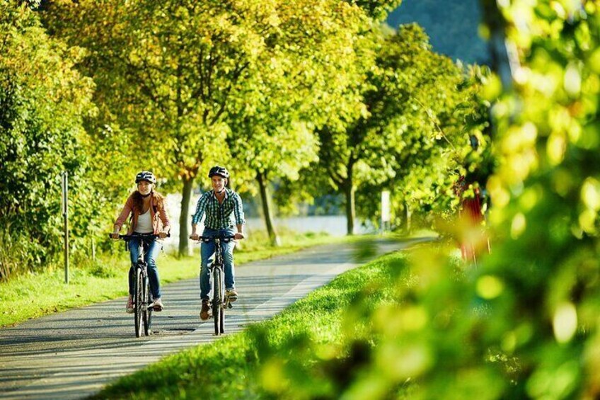 Bicycle Picnic Boat Tour with E Bike from to Traben Trarbach