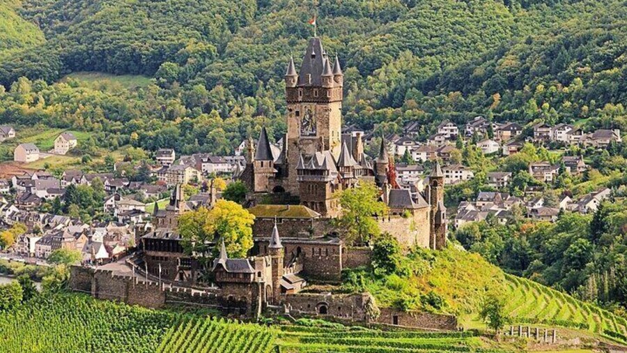 Imperial castle, castle, Cochem, vineyards