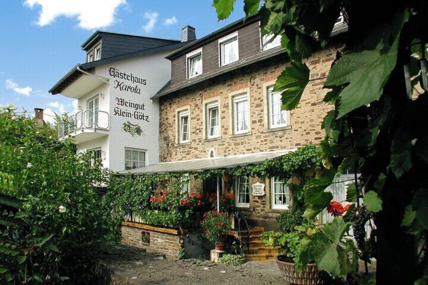 Wine experience hike from to Cochem Private Tour