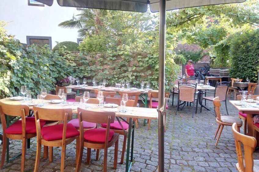 Wine experience hike from to Cochem Private Tour