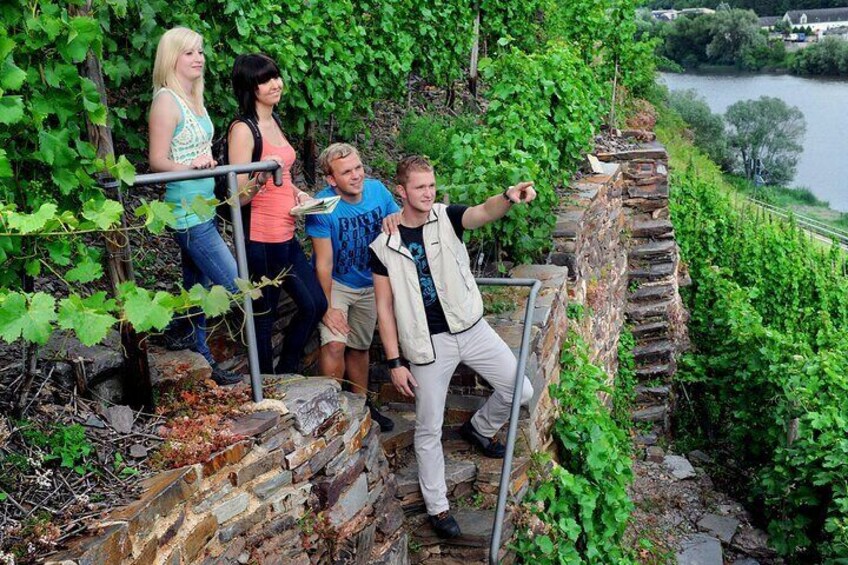 Wine experience hike from to Cochem Private Tour