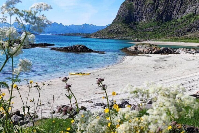 Sea Kayaking to LILLE MOLA Island