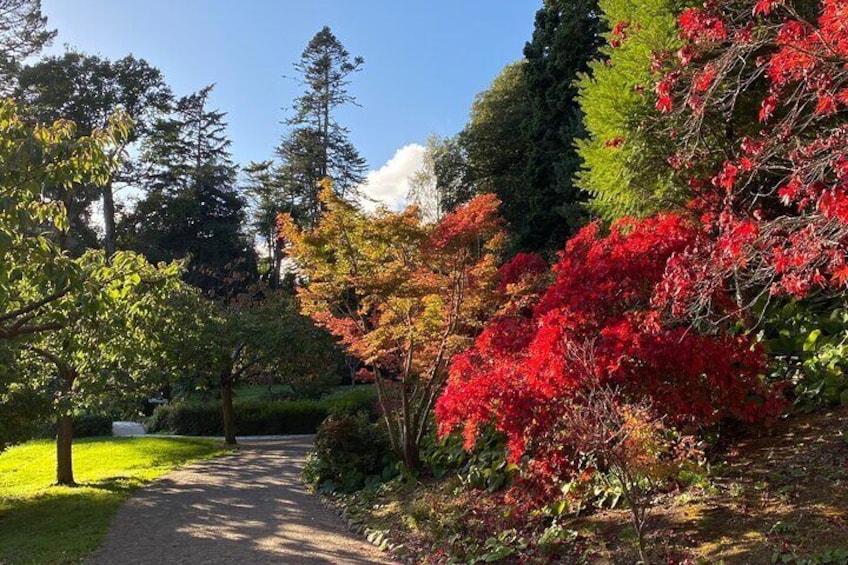 Powerscourt Garden, Japanese garden