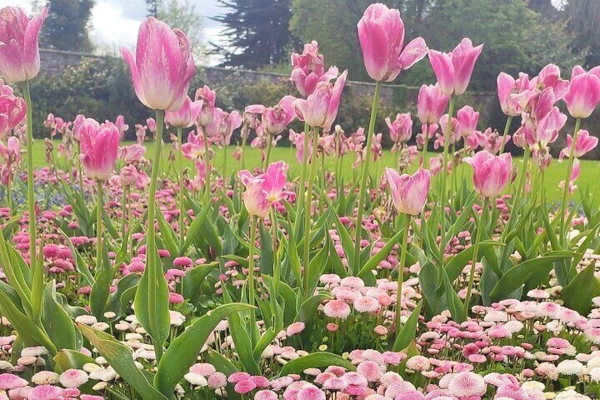 Powerscourt garden in spring