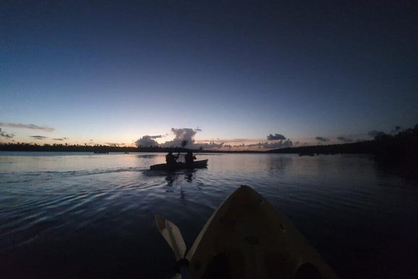 Full Day: Rainforest River, Luquillo Beach & Bioluminescent Bay Experience