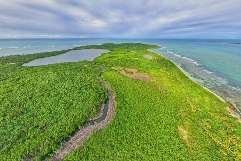 Full Day: Rainforest River, Luquillo Beach & Bioluminescent Bay Experience