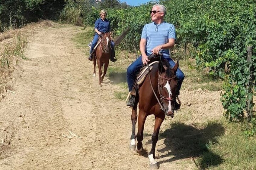 Horseback riding tour of the Chianti hills