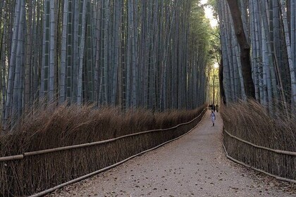 Zen Run in Arashiyama