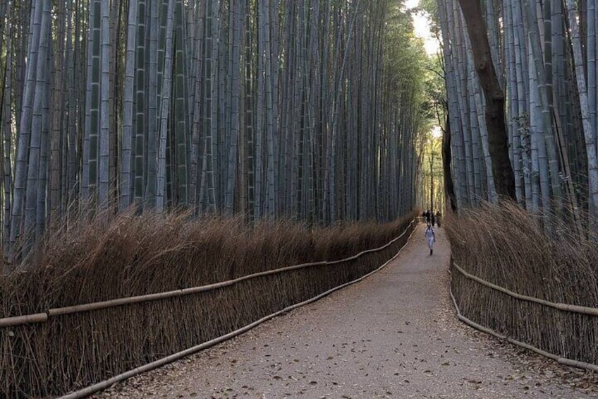 Zen Run in Arashiyama
