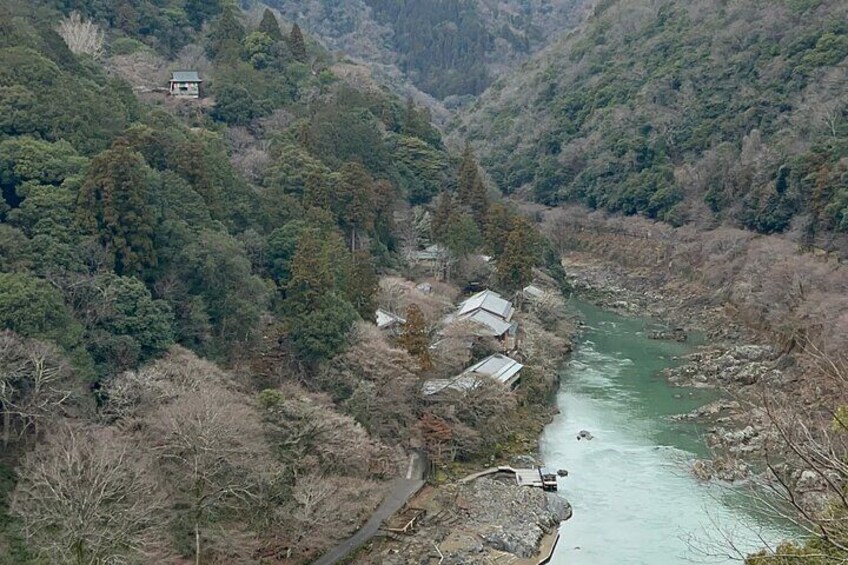Zen Run in Arashiyama
