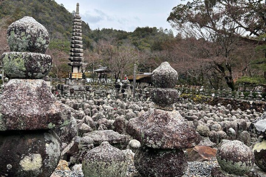 Zen Run in Arashiyama