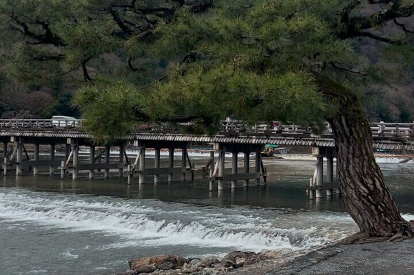 Zen Run in Arashiyama