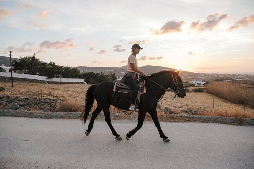 Sunset Landscape Horse riding in Paros 