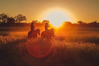 Sunset Landscape Horse riding in Paros