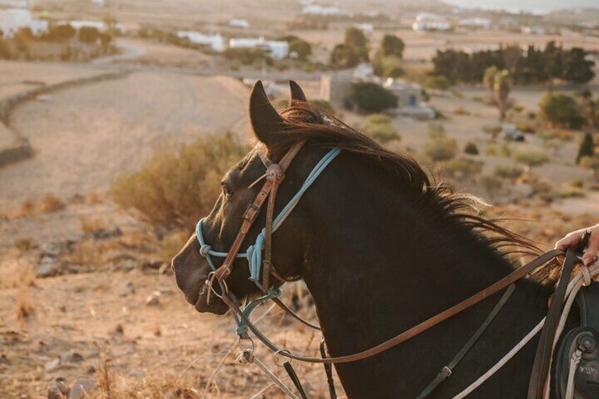 Sunset Landscape Horse riding in Paros 