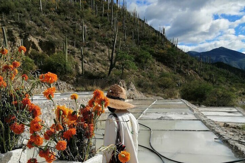 Private Tour to the Tehuacán Biosphere Reserve