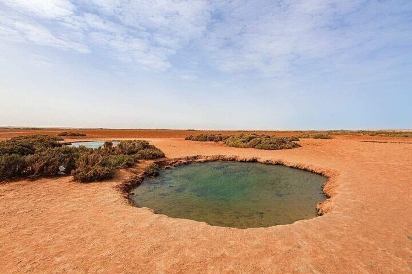 Private Tour to Tropic of Cancer in Dakhla