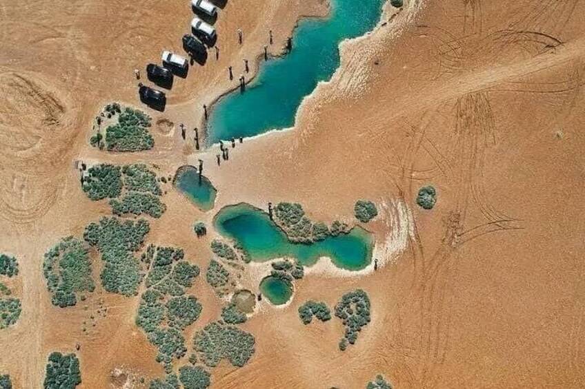 Private Tour to Tropic of Cancer in Dakhla