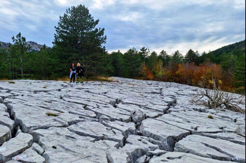 Explore the Hidden Trails of Orjen Mountain