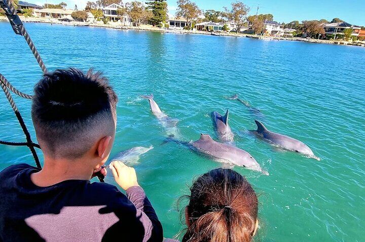 Perth Day Tour: Dolphin Cruise, Wildlife Park, and Swan Valley