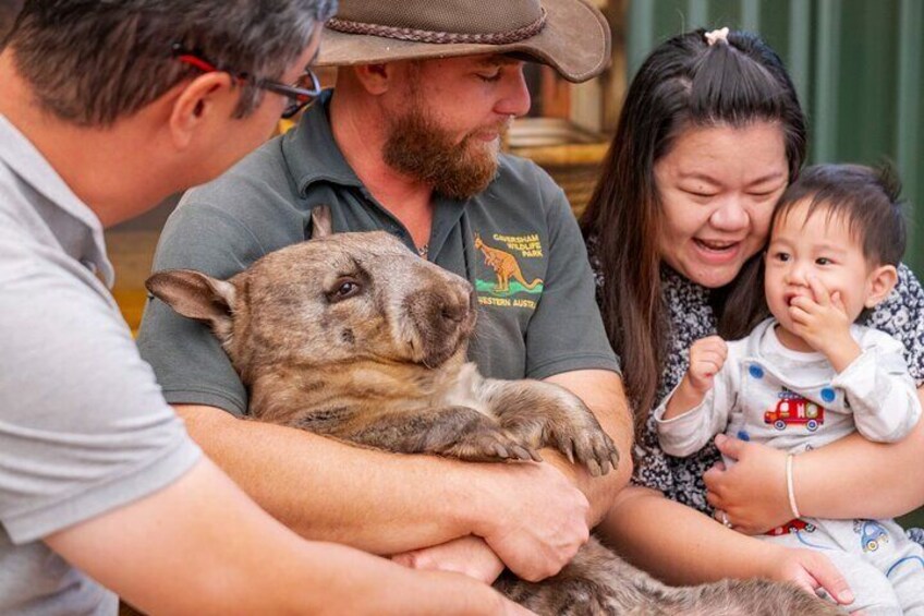 Caversham Wildlife Park