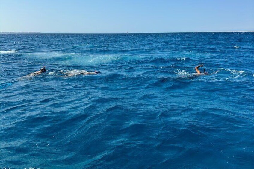 Private Speedboat – Snorkeling & Dolphin Watching & Abu Monkar