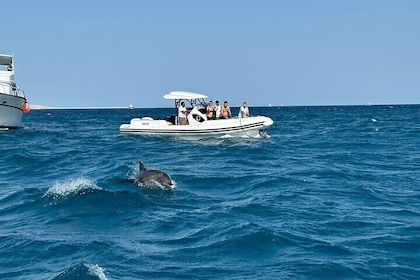 Private Speedboat – Snorkelling & Dolphin Watching & Abu Monkar