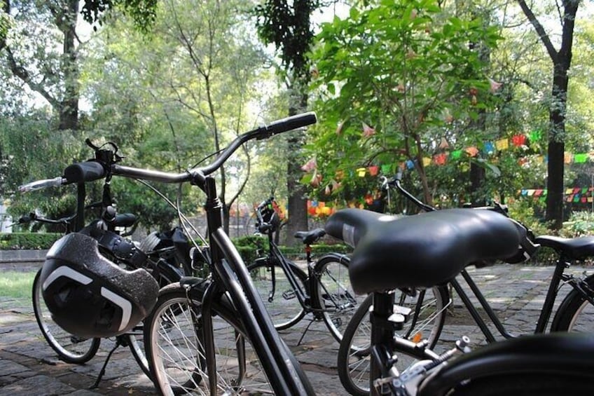 Frida Kahlo VIP - Bike & Churros [Museum Tickets Included]