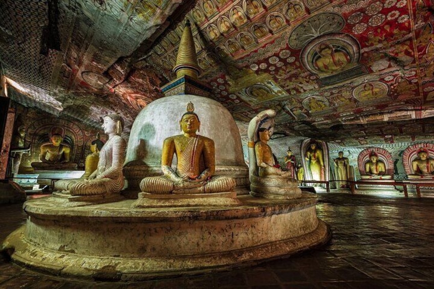 Sigiriya and Dambulla Day Trip From South Coast - All Inclusive