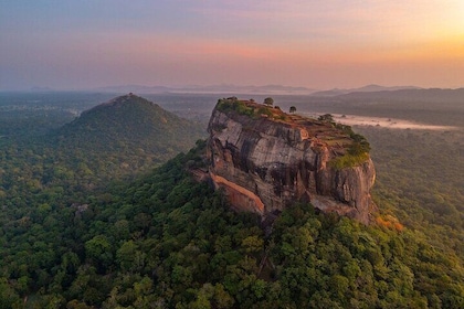 Sigiriya and Dambulla Day Trip From South Coast - All-inclusive